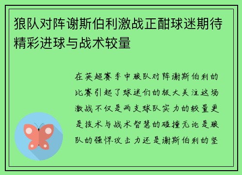 狼队对阵谢斯伯利激战正酣球迷期待精彩进球与战术较量